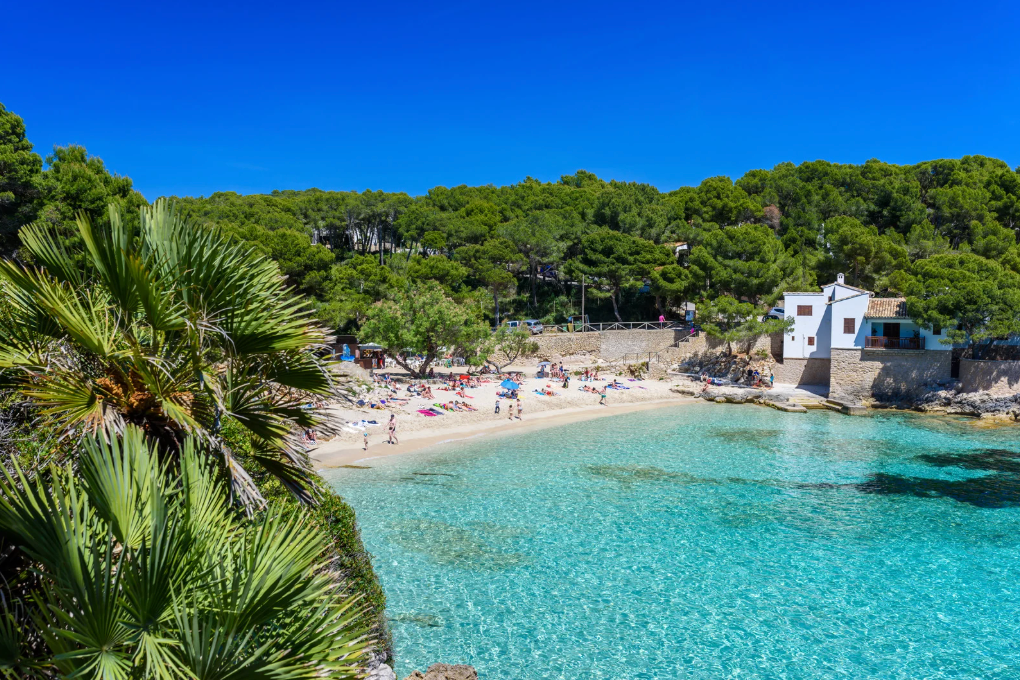Mallorca planen- Welche Region passt zu welchem Reisetyp?